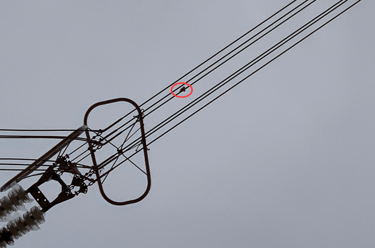 初心如磐，特力康高壓輸電線路導線溫度在線監(jiān)測系統(tǒng)